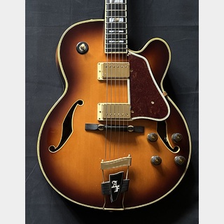エレクトリックギター ＞ フルアコ、Ibanezの検索結果【楽器検索