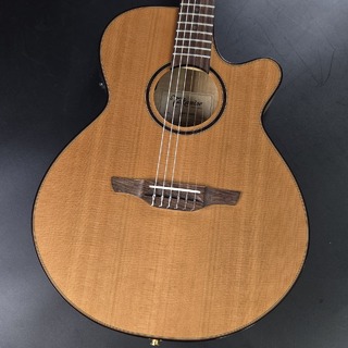 Takamine TSP10SN【現物画像】【九州・中四国地方限定モデル】