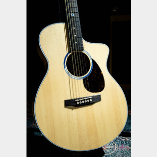 エレクトリック・アコースティックギター、Martinの検索結果【楽器検索