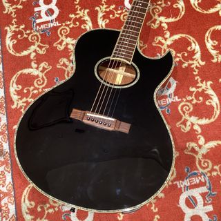 Washburn EA40SNB