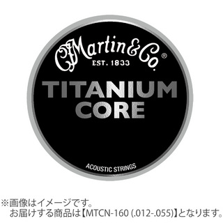 Martin TITANIUM CORE チタニウムコア 012-055 ライトテンション MTCN-160アコースティックギター弦
