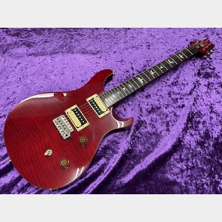 Paul Reed Smith(PRS) SE Custom 24 Flat-Top