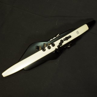 Roland AE-20 Aerophone【福岡パルコ店】