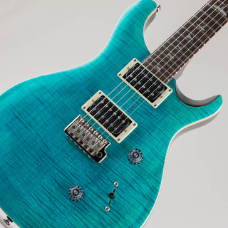 Paul Reed Smith(PRS) SE Custom 24 / Blue Matteo