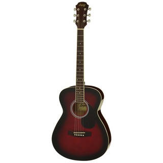 LEGENDFG-15 RS アコースティックギター