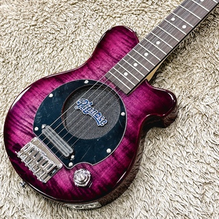 Elioth Super Strat エレキギター パープル なんでも鑑定団よりも驚き！ 受注生産品】 Elioth パープル