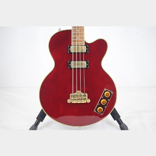 Epiphone ALLEN WOODY RUMBLEKAT