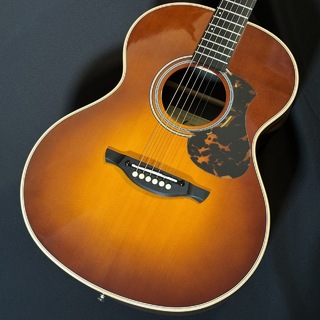 JamesJ-300A II Violin Sunburst アコースティックギター 簡単弦高調整【現物写真】