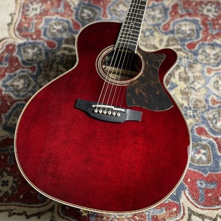 Takamine DMP50S WR エレアコギター セミハードケース付属 【島村楽器 x Takamine コラボモデル】