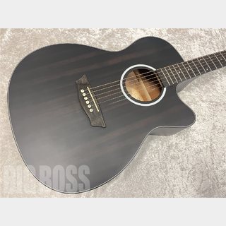 Washburn EBONY ACE