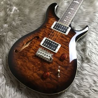 Paul Reed Smith(PRS)SE CUSTOM 22 SH Q BG