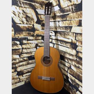 YAMAHA ヤマハ Model:CGX122MC 【日本総本店2F 在庫品】