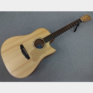 アコースティックギター／エレクトリック・アコースティックギター