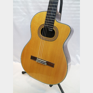 Takamine NPT315