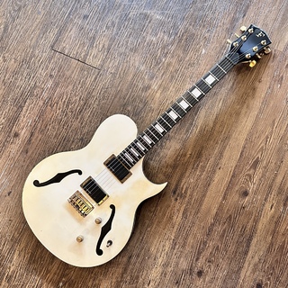 エレクトリックギター、FERNANDES、布袋の検索結果【楽器検索デジマート】