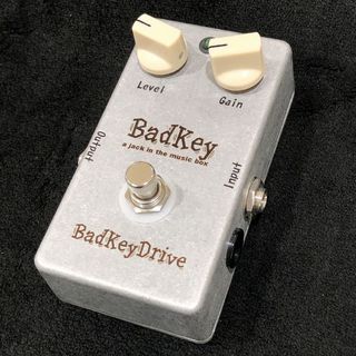 BadKey BadkeyDrive