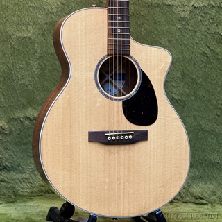 MARTIN SC-13Eの検索結果【楽器検索デジマート】