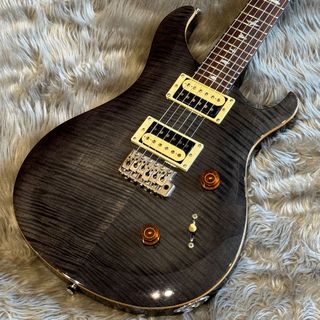 Paul Reed Smith(PRS) SE CUSTOM 24