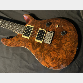 Paul Reed Smith(PRS) SE Custom 24