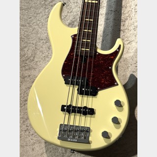 ジャンク YAMAHA PJベース RBX600R パールホワイト 日本製 2025年最新】RBX 600の人気アイテム - メルカリ