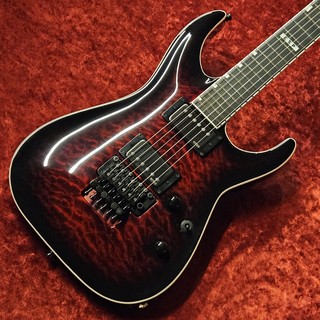 エレクトリックギター、フロイドローズの検索結果【楽器検索デジマート】