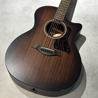 Taylor AD24ce 【S/N1210033025】