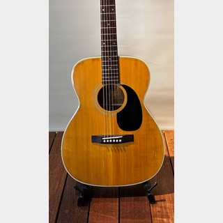 アコースティックギター／エレクトリック・アコースティックギター