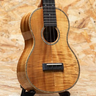 ウクレレ、Tony Grazianoの検索結果【楽器検索デジマート】