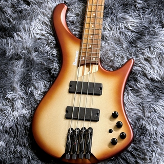 Ibanez EHB600-CCM (Charred Champagne Burst Matte) 【2026 NEWモデル】【ヘッドレスベース】