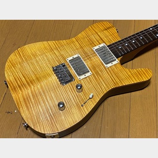 Kigoshi Custom Guitar KT-Pro / WAL Limited.