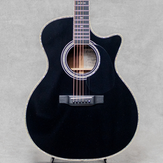 Martin、SUGIZO 41の検索結果【楽器検索デジマート】