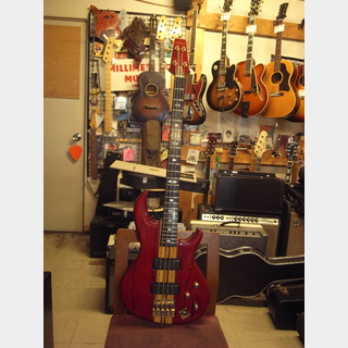 フレットレスベース　アリアプロII メンテ済み。新品弦付属 今月末迄お値下げ中❣️ 1006620908886006_01_4180.jpeg