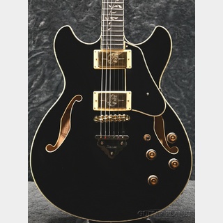 エレクトリックギター > セミアコ、Ibanezの検索結果【楽器検索 エレクトリックギター > セミアコ、Ibanezの検索結果【楽器検索
