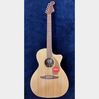 Fender Newpoter Player NAT