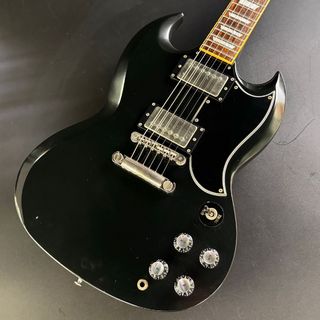 EDWARDS E-SG-120LT2【現物画像】