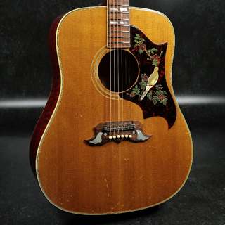 アコースティックギター、Gibson、Doveの検索結果【楽器検索デジマート】