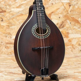 マンドリンの検索結果【楽器検索デジマート】