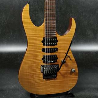 エレキギター、Ibanezの検索結果【楽器検索デジマート】