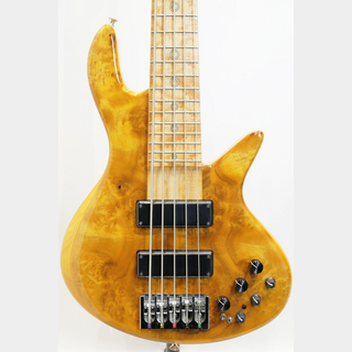 Xotic XB-2 5st Poplar Burl Top