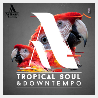 ARTISAN AUDIOTROPICAL SOUL & DOWNTEMPO