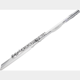 Roland Aerophone Brisa