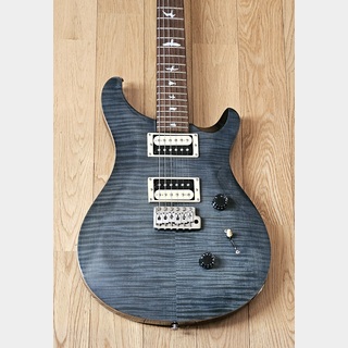 Paul Reed Smith(PRS) SE Custom 24 