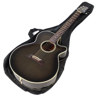 Takamine 【中古】アコースティックギター TAKAMINE タカミネ PT-106 1994年製 エレアコ