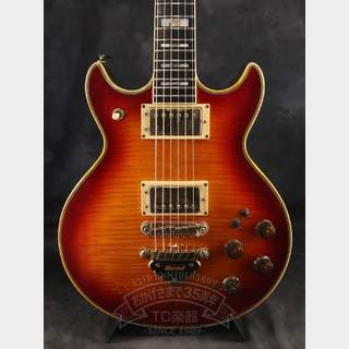 エレクトリックギター、Ibanezの検索結果【楽器検索デジマート】