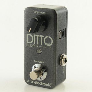 tc electronic Ditto Looper 【御茶ノ水本店】