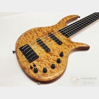 Elrick Expat eVolution 5-String ベース 5弦 Elrick Expat eVolution