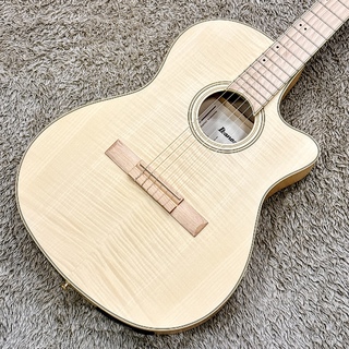 エレアコギター【発売時定価72600円（税込）】Ibanez