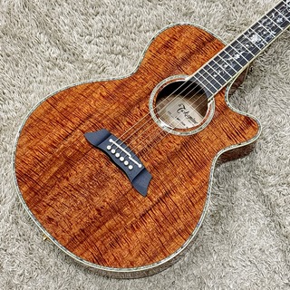 Takamine DMP100K N 【日本製】【エレアコ】