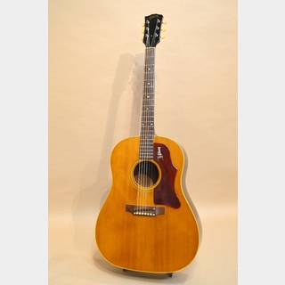 アコースティックギター、Gibson、J-50の検索結果【楽器検索