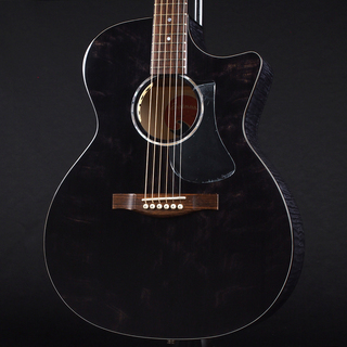 Eastman PCH3-GACE-TBK ~Trans Black~